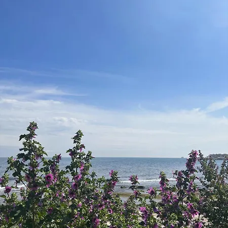 住宿加早餐酒店 Orchidea