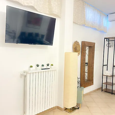 Orchidea باري